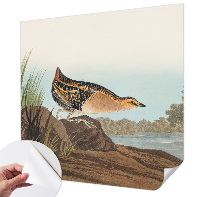 Savaime lipnus fototapetas Natūrali scena