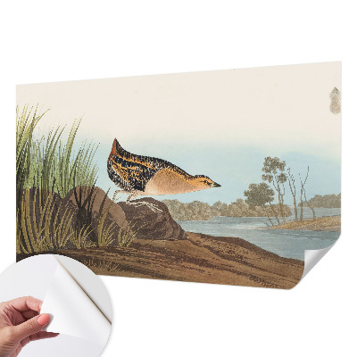 Savaime lipnus fototapetas Natūrali scena