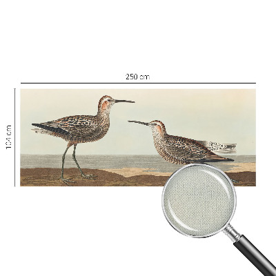 Fototapetai Fuglesilhuetter