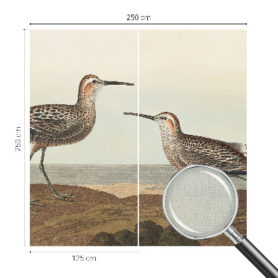 Fototapetai Fuglesilhuetter