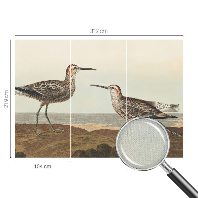 Fototapetai Fuglesilhuetter