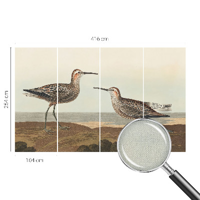 Fototapetai Fuglesilhuetter