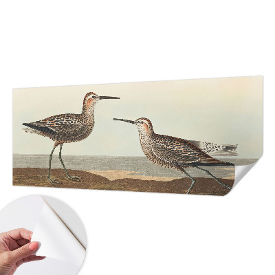 Fototapetai Fuglesilhuetter