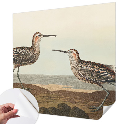 Fototapetai Fuglesilhuetter