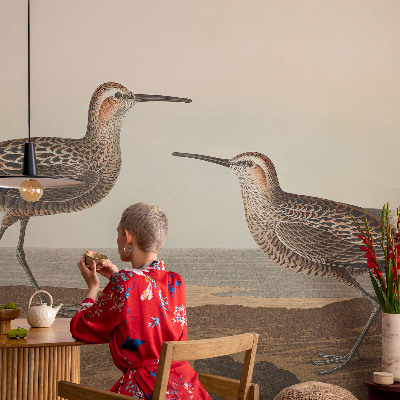 Fototapetai Fuglesilhuetter