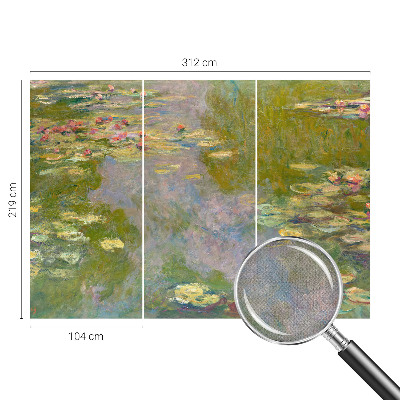 3D fototapetas su Åkander motyvu