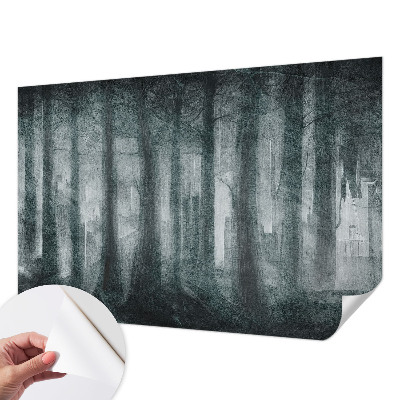 Fototapetai su mistiniu skovu
