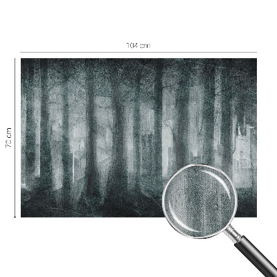 Fototapetai su mistiniu skovu