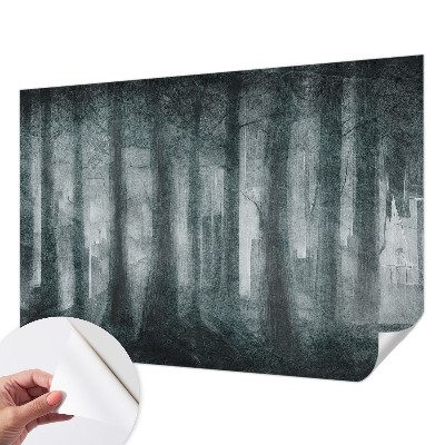 Fototapetai su mistiniu skovu