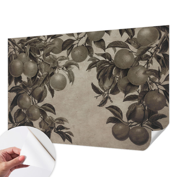 Fototapetas vaiko kambariui Frugtmønster