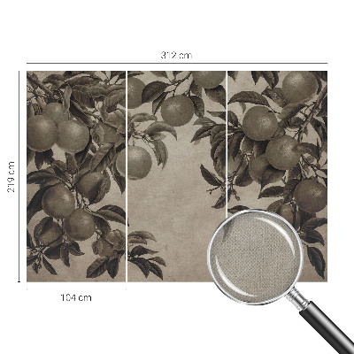 Fototapetas vaiko kambariui Frugtmønster