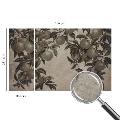 Fototapetas vaiko kambariui Frugtmønster