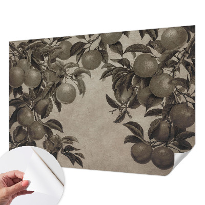 Fototapetas vaiko kambariui Frugtmønster