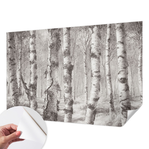 Fototapetas vaiko kambariui Birkeskovas