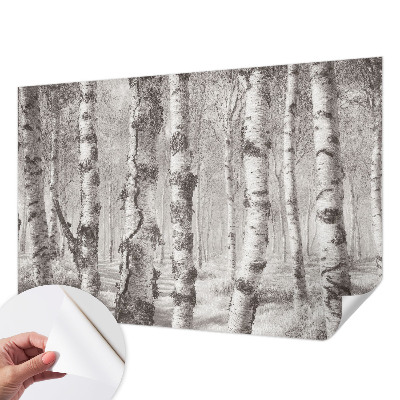 Fototapetas vaiko kambariui Birkeskovas