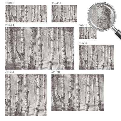 Fototapetas vaiko kambariui Birkeskovas