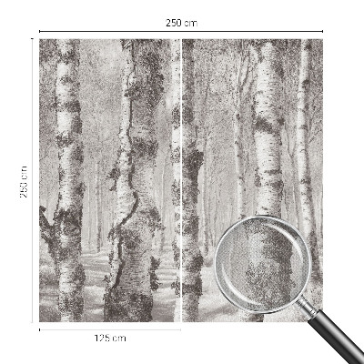 Fototapetas vaiko kambariui Birkeskovas
