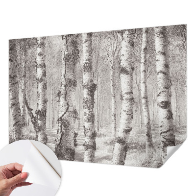 Fototapetas vaiko kambariui Birkeskovas