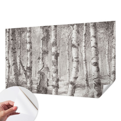 Fototapetas vaiko kambariui Birkeskovas