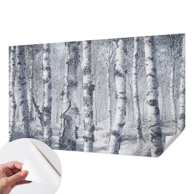 Fototapetas vaikams Natūralus „Frostfyldt“