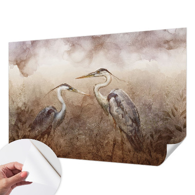 3D fototapetas su elegantišku pūgos motyvu