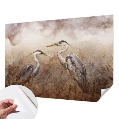 3D fototapetas su elegantišku pūgos motyvu