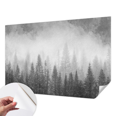 3D fototapetas su motyvu „Skovtåge“