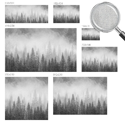 3D fototapetas su motyvu „Skovtåge“