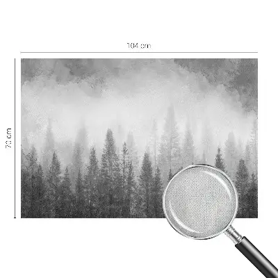 3D fototapetas su motyvu „Skovtåge“