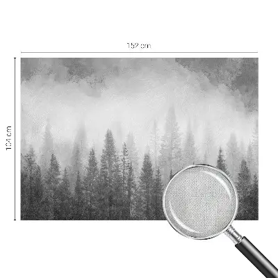 3D fototapetas su motyvu „Skovtåge“