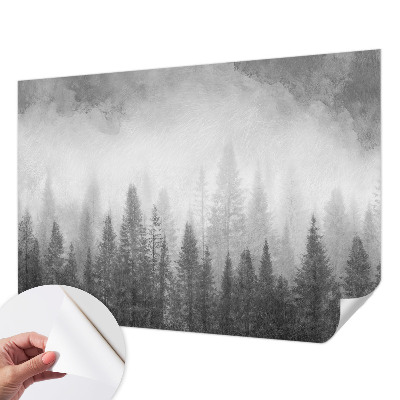 3D fototapetas su motyvu „Skovtåge“