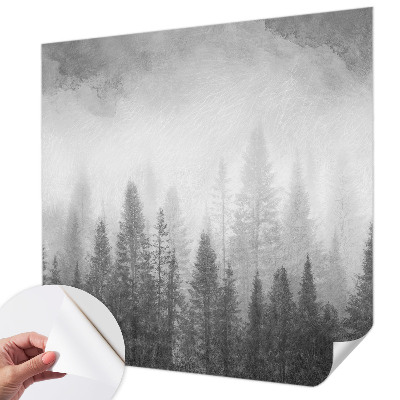 3D fototapetas su motyvu „Skovtåge“