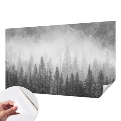 3D fototapetas su motyvu „Skovtåge“