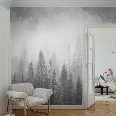 3D fototapetas su motyvu „Skovtåge“