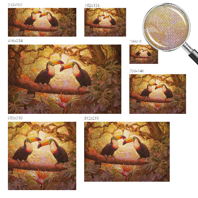 3D fototapetas sienoms Spalvingas tukanas