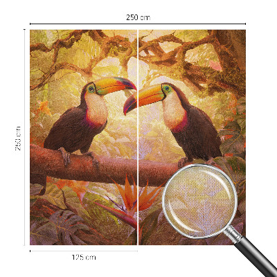 3D fototapetas sienoms su spalvingu tucanu