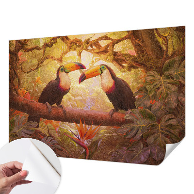 3D fototapetas sienoms Spalvingas tukanas