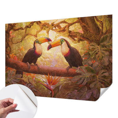 3D fototapetas sienoms su spalvingu tucanu