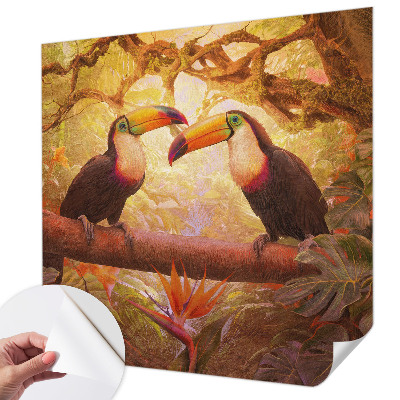 3D fototapetas sienoms su spalvingu tucanu