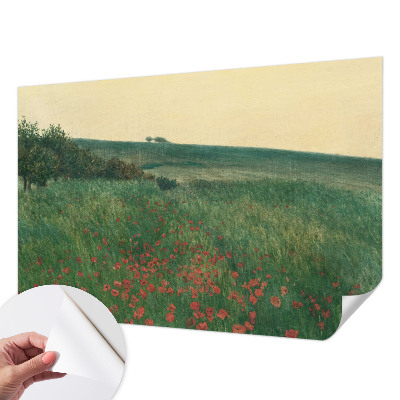 3D fototapetas su „Valmuemarker“ piešiniu