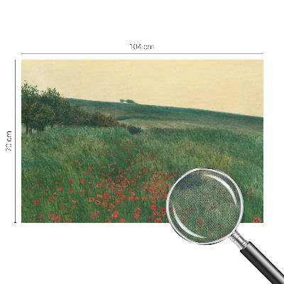 3D fototapetas Valmuemarker