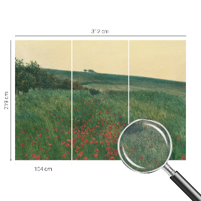 3D fototapetas Valmuemarker