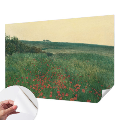 3D fototapetas su „Valmuemarker“ piešiniu