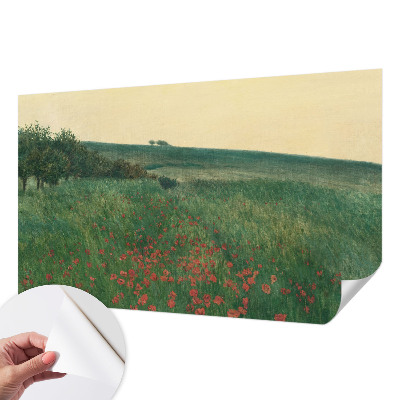 3D fototapetas su „Valmuemarker“ piešiniu