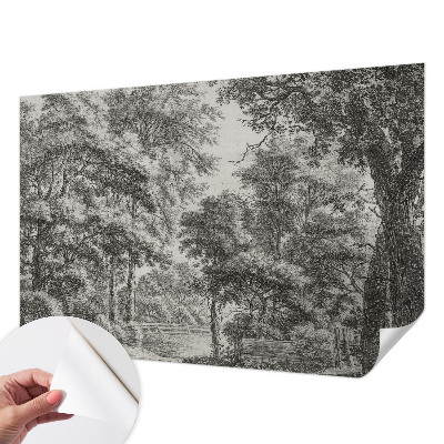 3D fototapetas su Skovlandskabas motyvu
