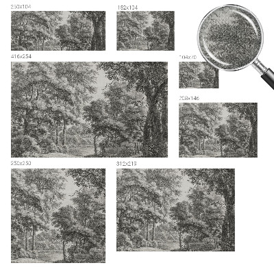 3D fototapetas su Skovlandskabas motyvu