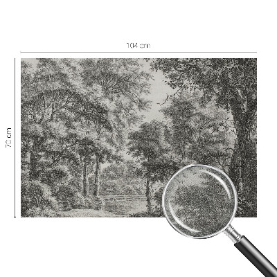 3D fototapetas Skovlandskabas