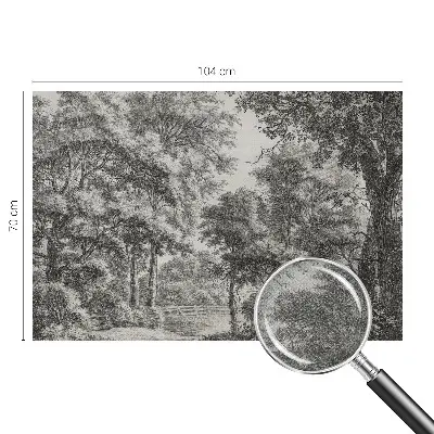 3D fototapetas su Skovlandskabas motyvu