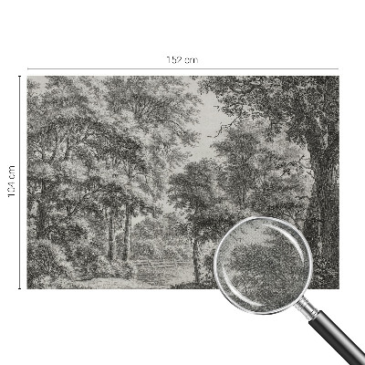 3D fototapetas Skovlandskabas