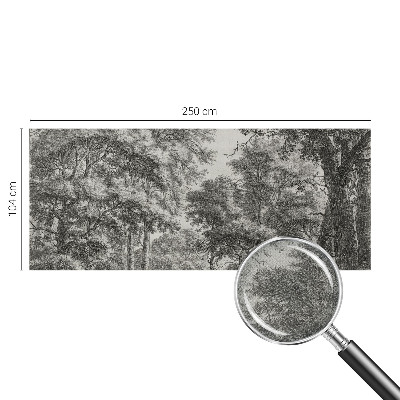3D fototapetas su Skovlandskabas motyvu